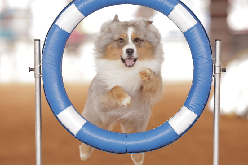 UKI US OPEN visual data 2