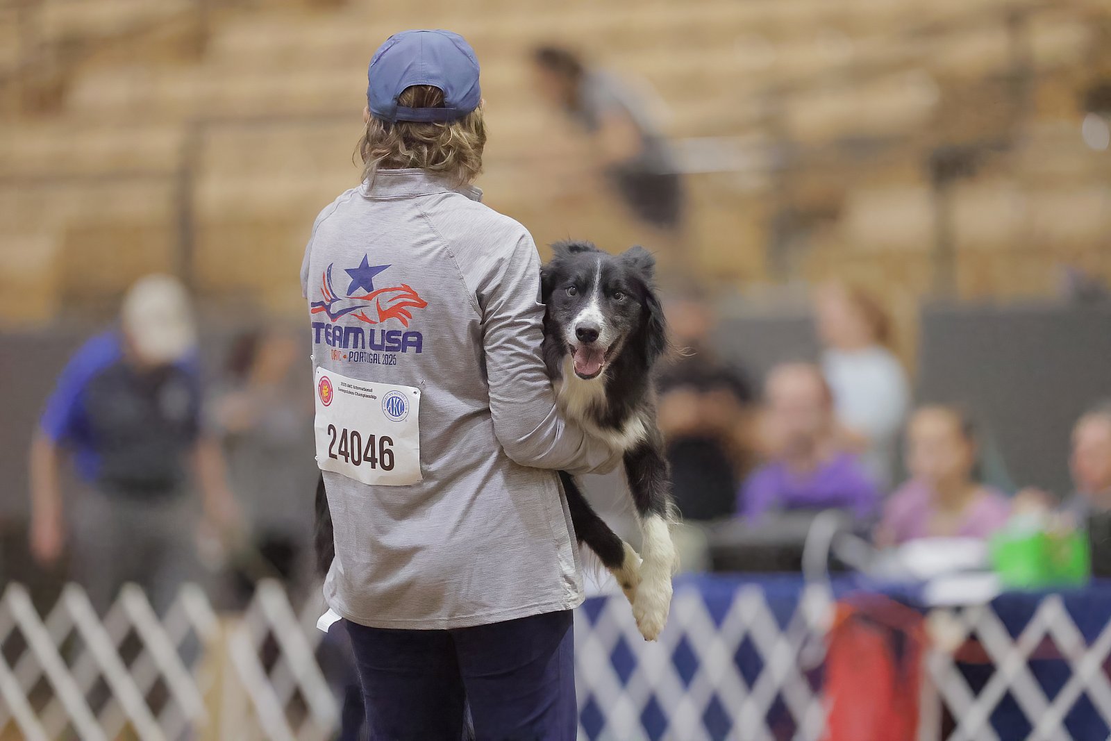 2025 AKC ISC Championship Franklin TN Events AKC Events Www 2025-akc-isc-championship-franklin-tn-events-akc-events-www