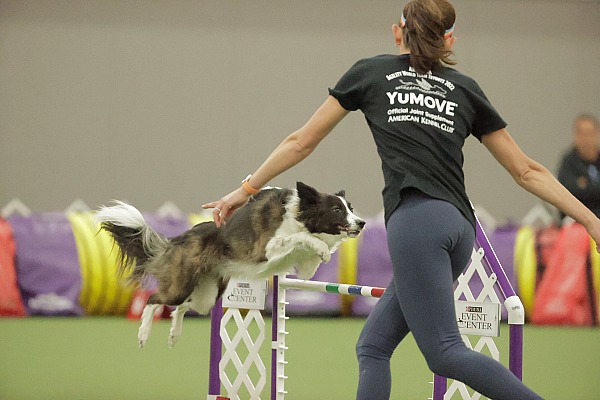 2022 World Team Tryouts - Purina Farms