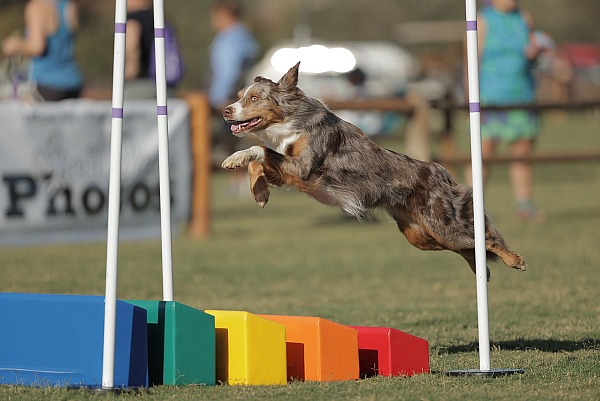 2022 UKI West Coast Open - Paso Robles, CA