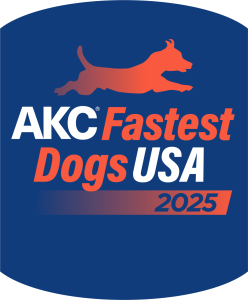 2025 AKC Fastest Dogs USA