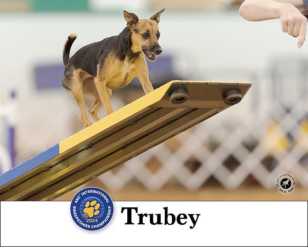 Sample Commemorative Prints