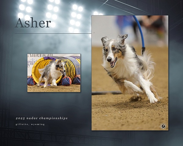 Sample Photo Collage Layouts