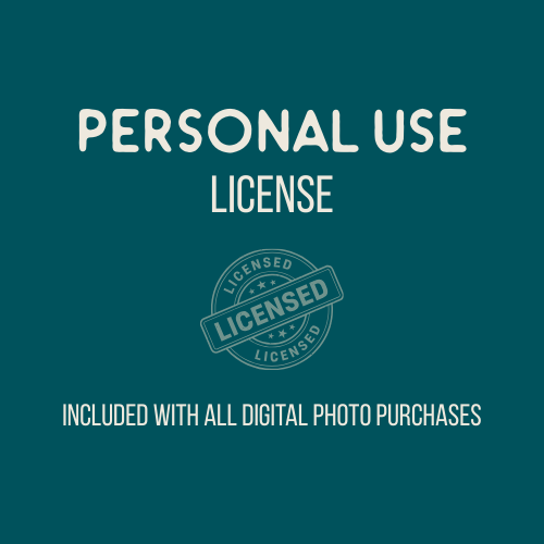 Personal Use License