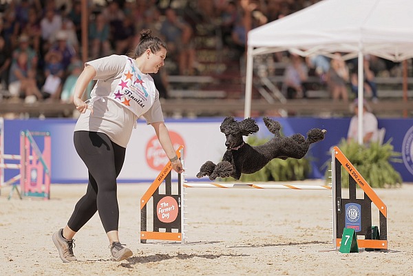 2026 AKC National Agility Championship - Temecula, CA